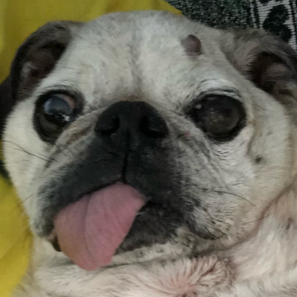 Meet your Posher, Rk - Picture 1 of 1